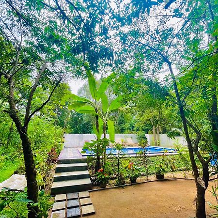 Gangadiya Lodge Sigiriya Exterior foto