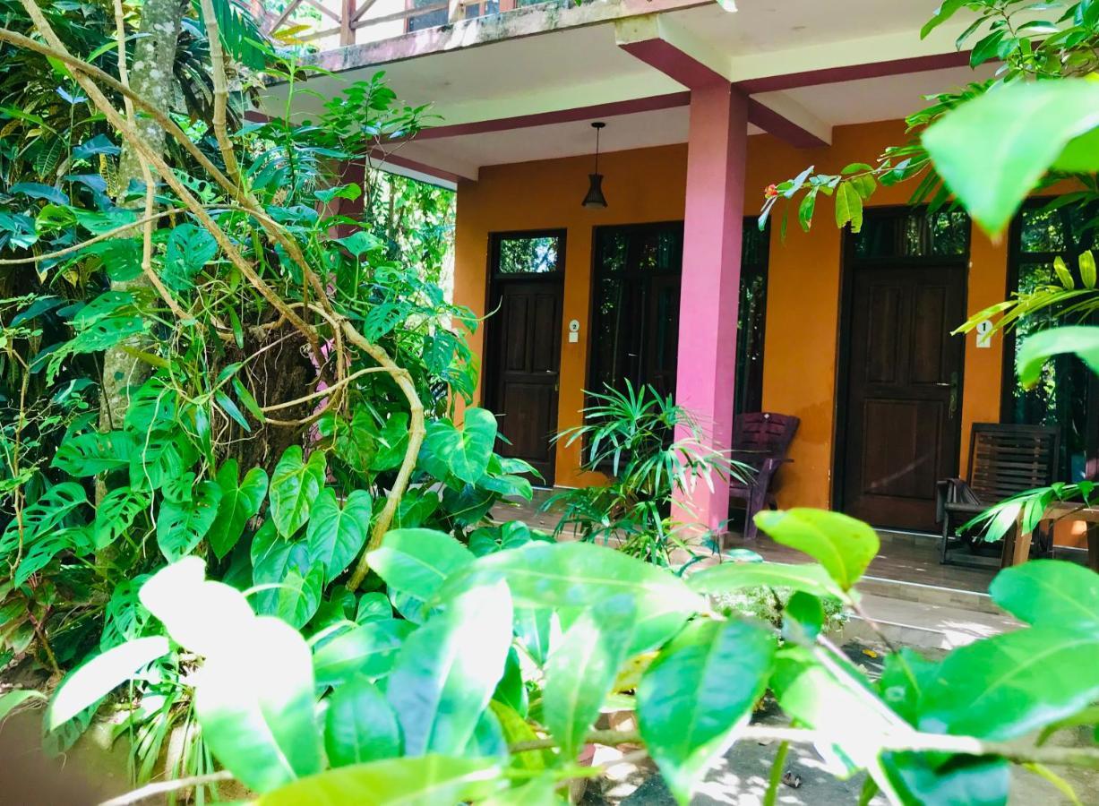 Gangadiya Lodge Sigiriya Exterior foto